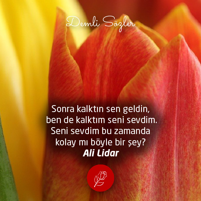 Sonra kalktın sen geldin, ben de kalktım seni sevdim. Seni sevdim bu zamanda kolay mı böyle bir şey?