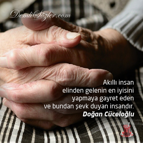 Akıllı insan elinden gelenin en iyisini yapmaya gayret eden ve bundan şevk duyan insandır.