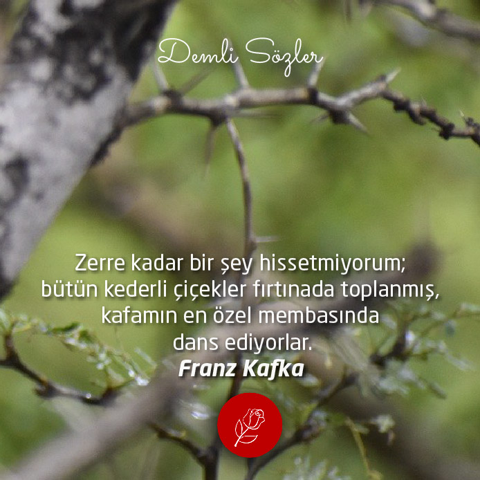 Zerre kadar bir şey hissetmiyorum; bütün kederli çiçekler fırtınada toplanmış, kafamın en özel membasında dans ediyorlar.