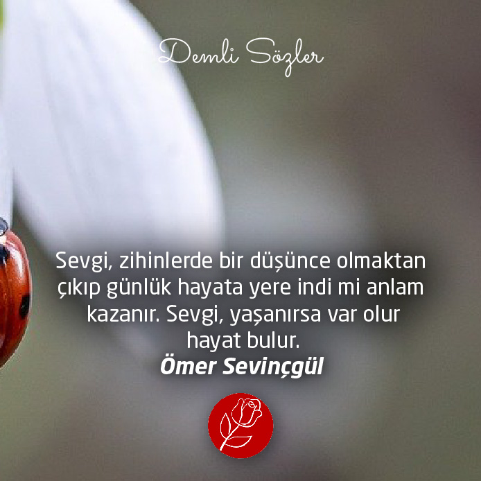 Sevgi, zihinlerde bir düşünce olmaktan çıkıp günlük hayata yere indi mi anlam kazanır. Sevgi, yaşanırsa var olur hayat bulur.