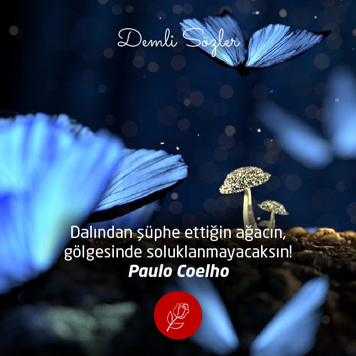 Dalından şüphe ettiğin ağacın, gölgesinde soluklanmayacaksın! - Paulo Coelho