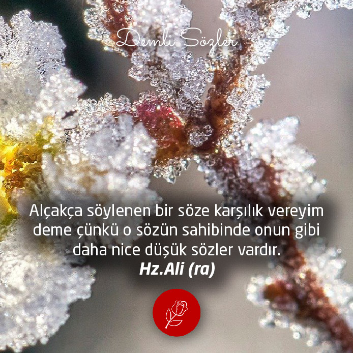 Alçakça söylenen bir söze karşılık vereyim deme çünkü o sözün sahibinde onun gibi daha nice düşük sözler vardır.