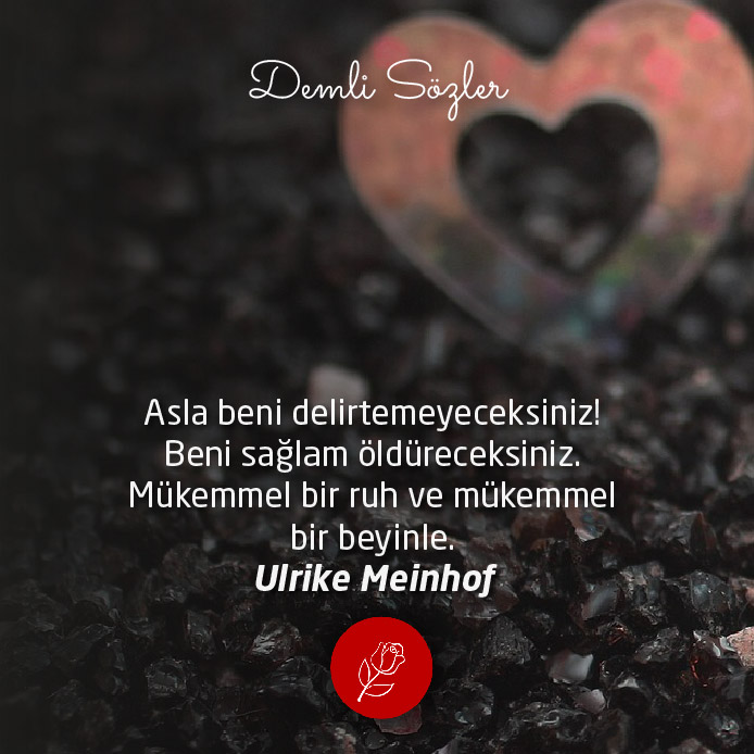 Asla beni delirtemeyeceksiniz! Beni sağlam öldüreceksiniz. Mükemmel bir ruh ve mükemmel bir beyinle.