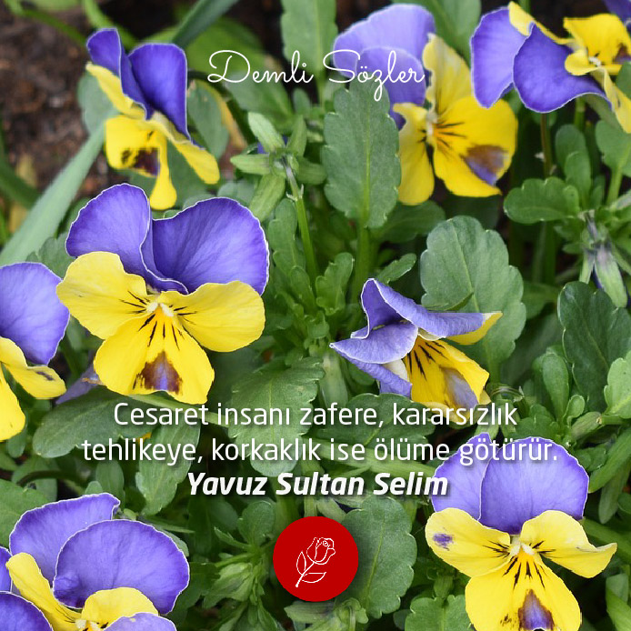Cesaret insanı zafere, kararsızlık tehlikeye, korkaklık ise ölüme götürür.