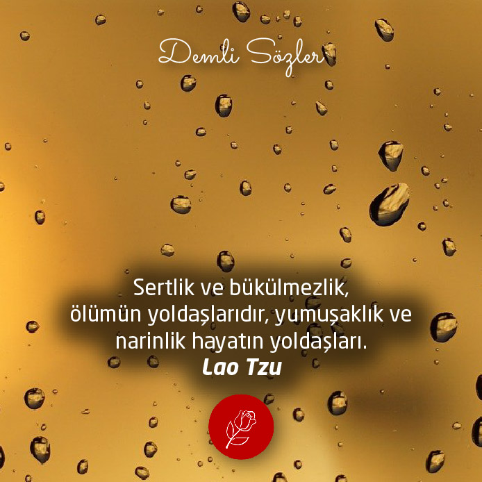 Sertlik ve bükülmezlik, ölümün yoldaşlarıdır, yumuşaklık ve narinlik hayatın yoldaşları.