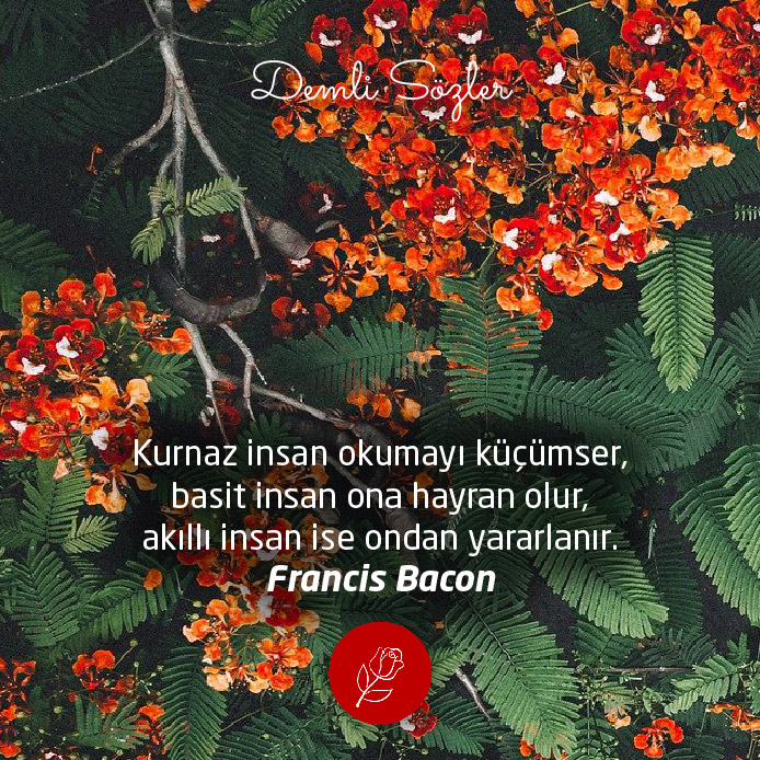 Kurnaz insan okumayı küçümser, basit insan ona hayran olur, akıllı insan ise ondan yararlanır. - Francis Bacon