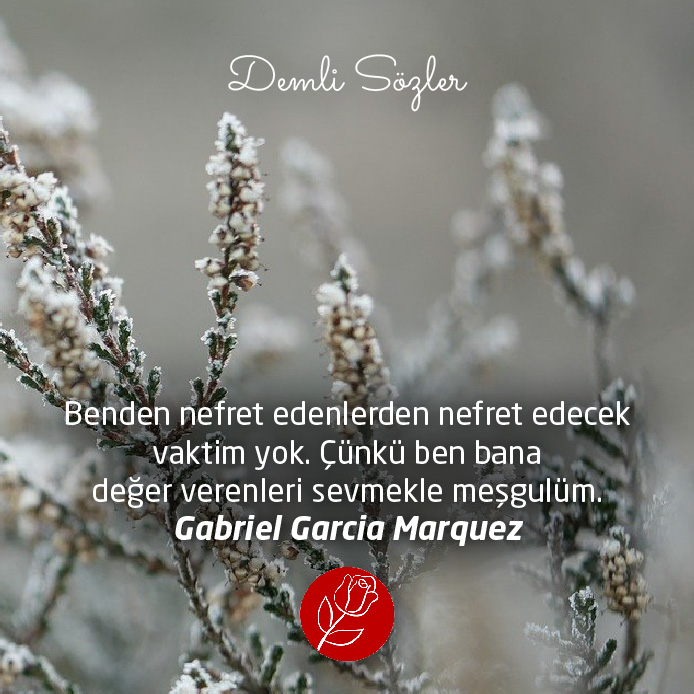 Benden nefret edenlerden nefret edecek vaktim yok. Çünkü ben bana değer verenleri sevmekle meşgulüm. - Gabriel Garcia Marquez