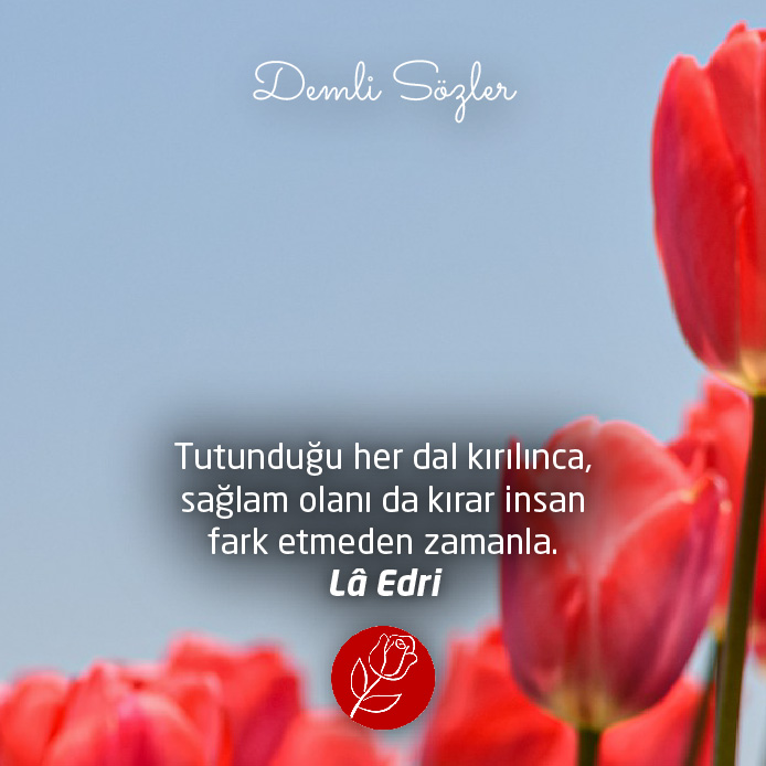 Tutunduğu her dal kırılınca, sağlam olanı da kırar insan fark etmeden zamanla.