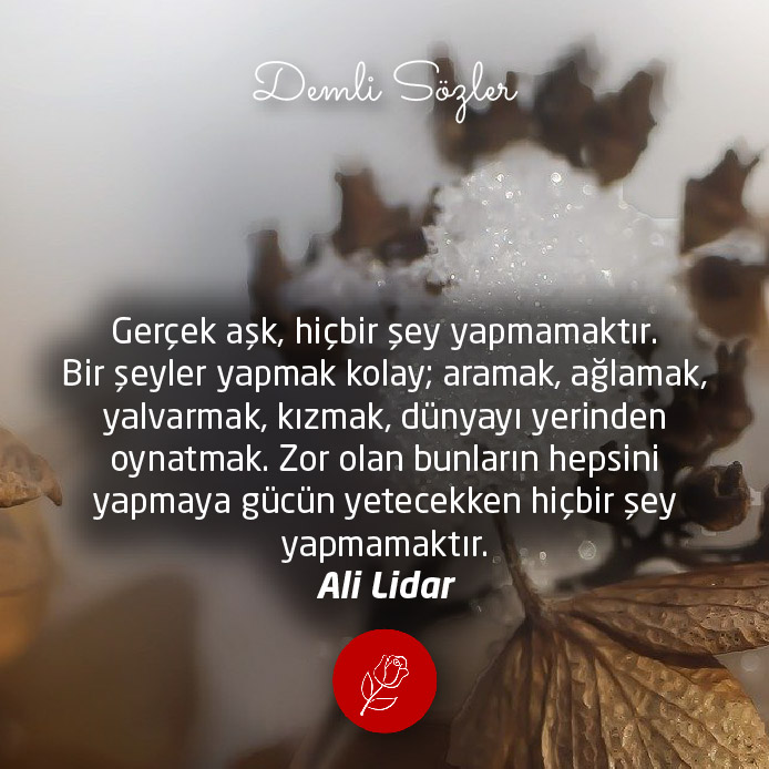 Gerçek aşk, hiçbir şey yapmamaktır. Bir şeyler yapmak kolay; aramak, ağlamak, yalvarmak, kızmak, dünyayı yerinden oynatmak. Zor olan bunların hepsini yapmaya gücün yetecekken hiçbir şey yapmamaktır.