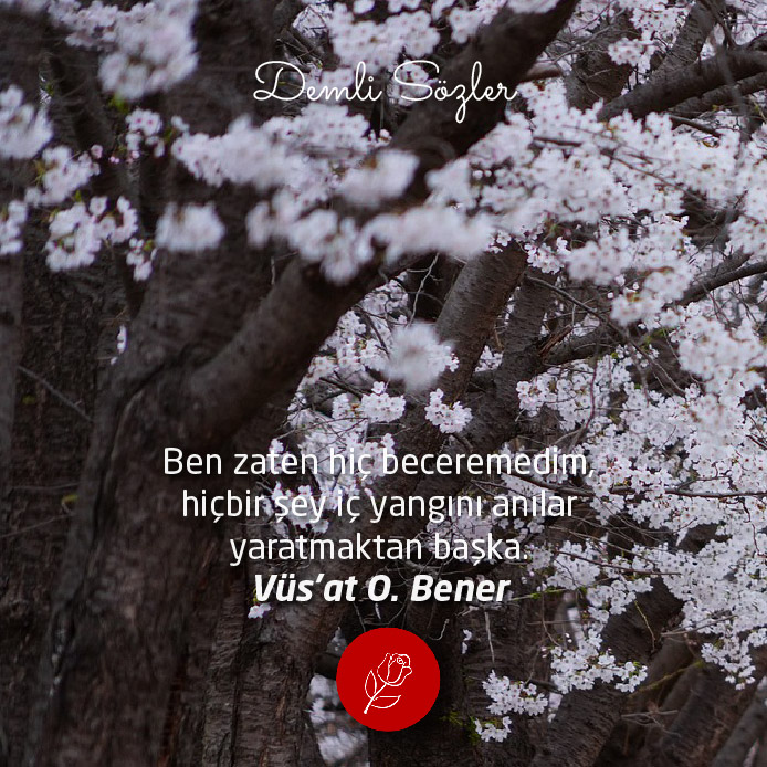 Ben zaten hiç beceremedim, hiçbir şey iç yangını anılar yaratmaktan başka.