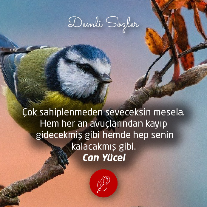 Çok sahiplenmeden seveceksin mesela. Hem her an avuçlarından kayıp gidecekmiş gibi hemde hep senin kalacakmış gibi.