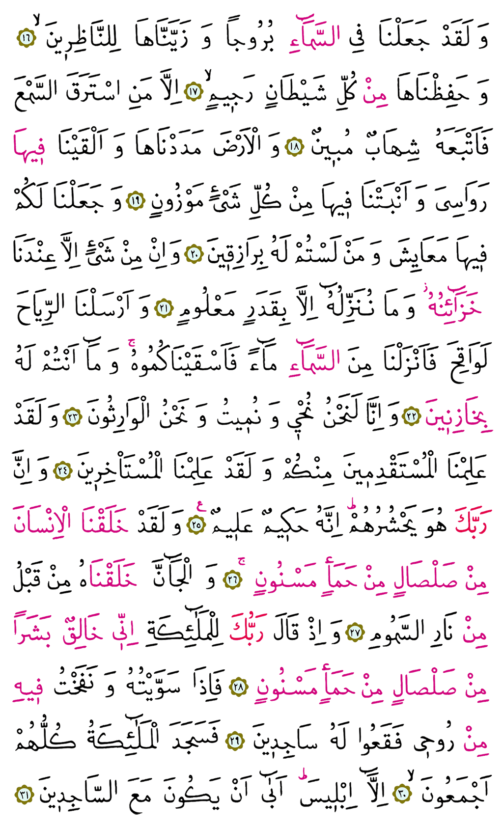 Hicr Suresi 14. Cüz - 262. Sayfa