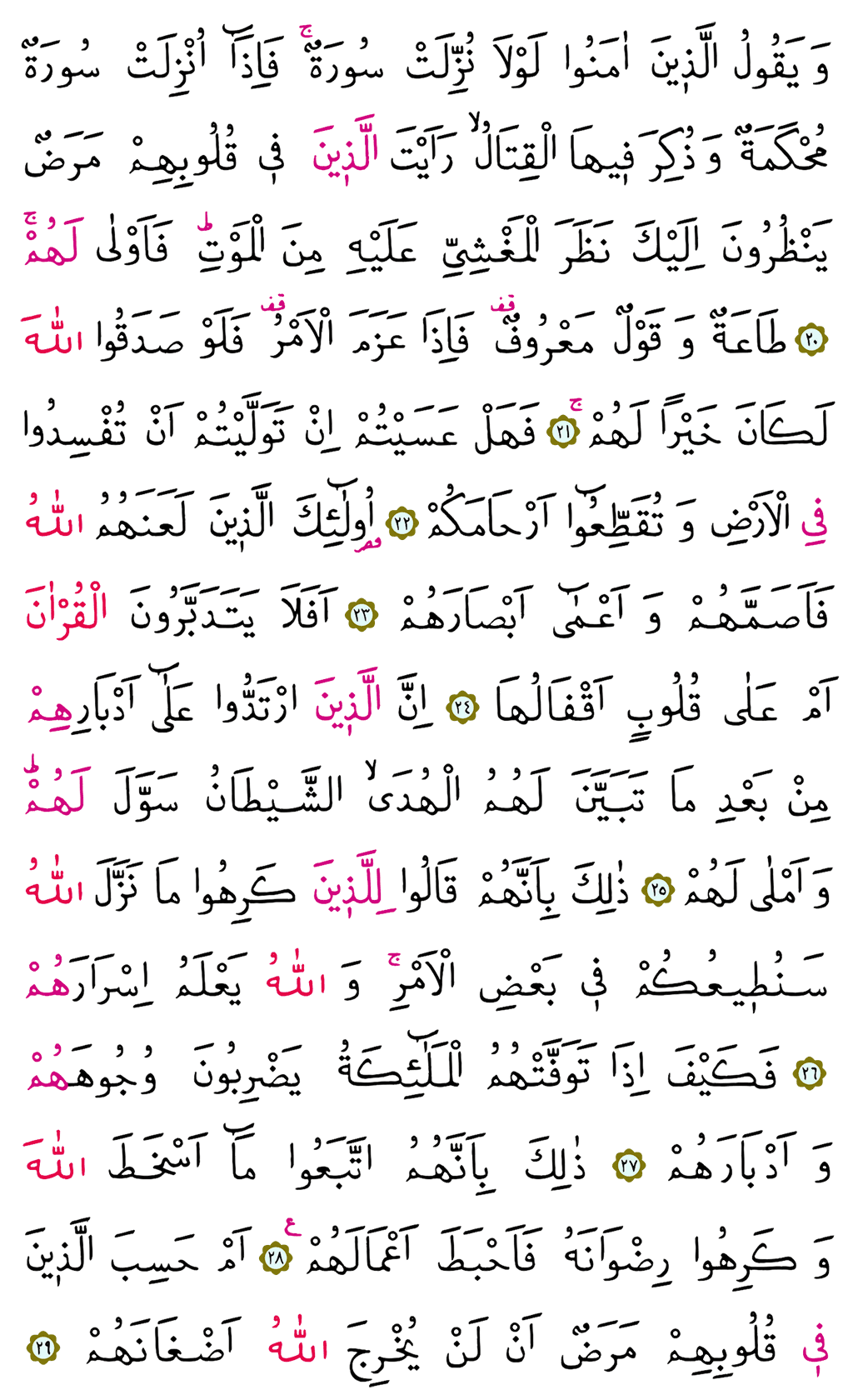 Muhammed Suresi 26. Cüz - 508. Sayfa