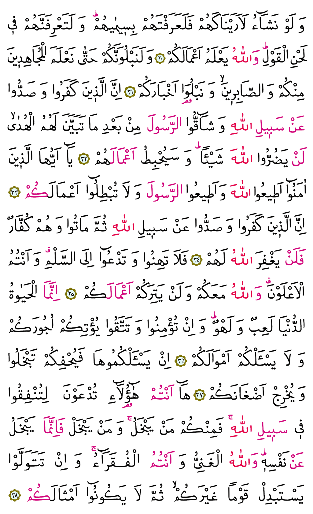 Muhammed Suresi 26. Cüz - 509. Sayfa