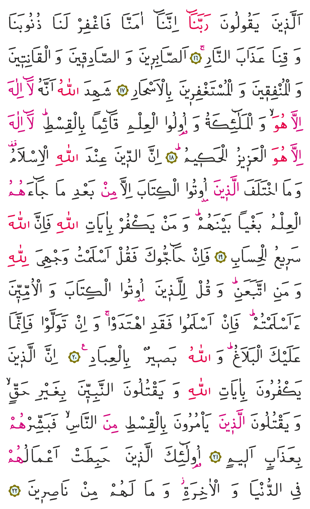 Ali İmran Suresi 3. Cüz 51. Sayfa