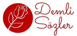demlisozler.com site logo
