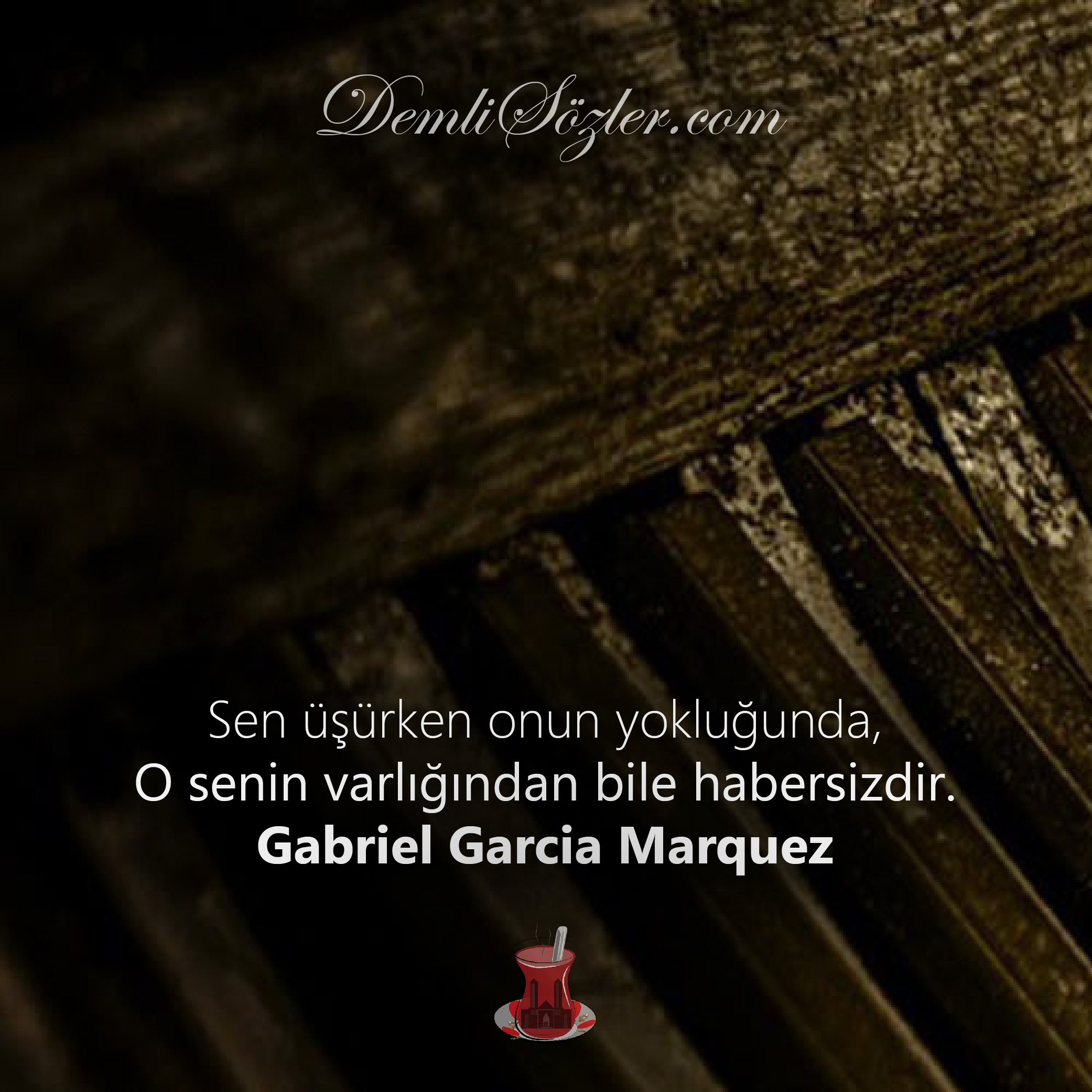 Sen üşürken onun yokluğunda, O senin varlığından bile habersizdir. - Gabriel Garcia Marquez