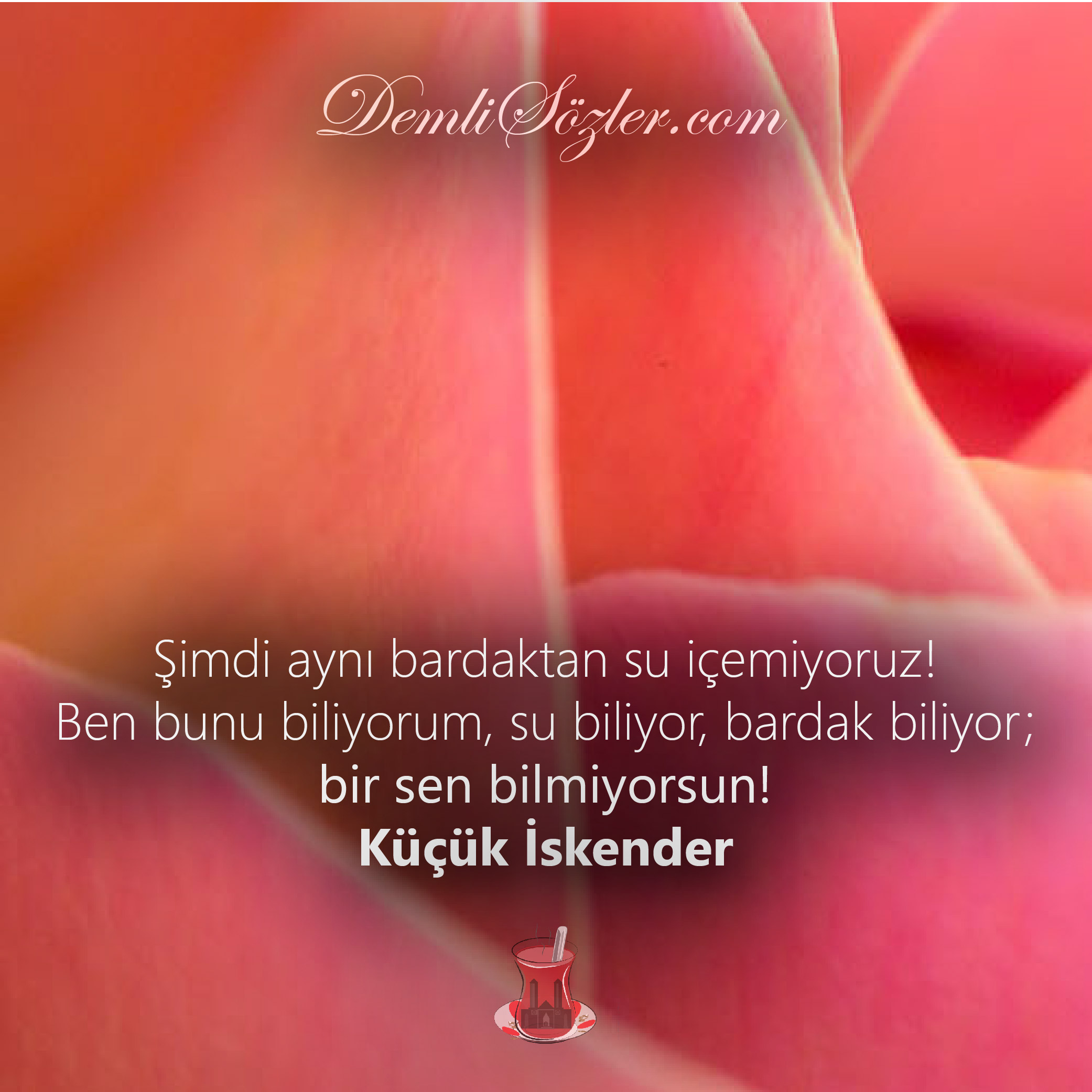 Şimdi aynı bardaktan su içemiyoruz! Ben bunu biliyorum, su biliyor, bardak biliyor; bir sen bilmiyorsun!