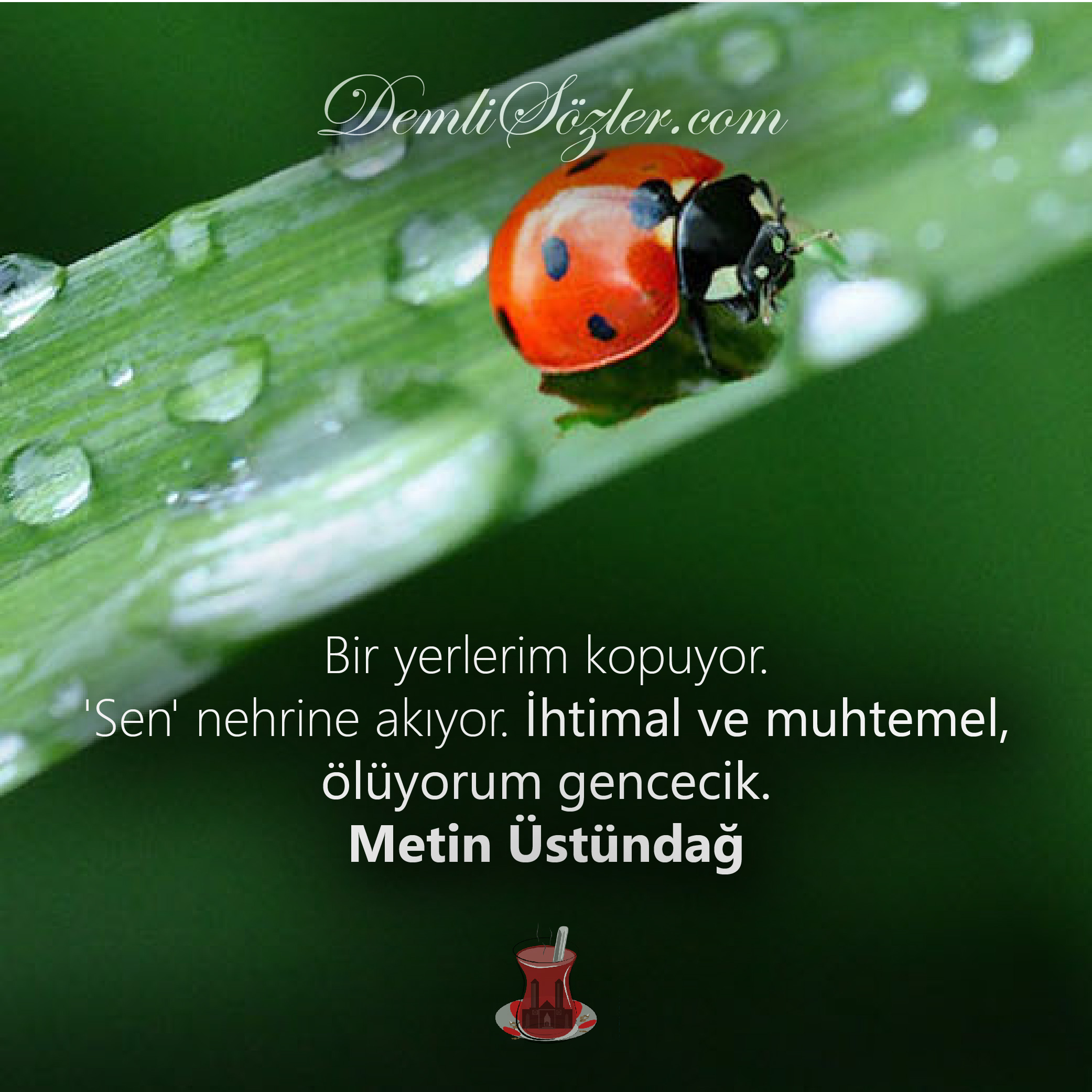 Bir yerlerim kopuyor. 'Sen' nehrine akıyor. İhtimal ve muhtemel, ölüyorum gencecik.