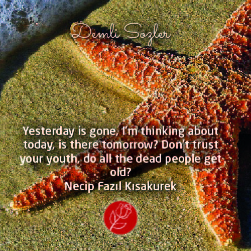 Yesterday is gone, I'm thinking about today, is there tomorrow? Don't trust your youth, do all the dead people get old?
