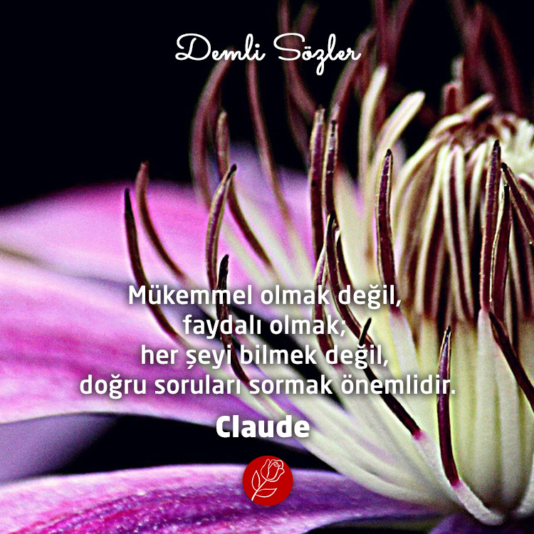 Mükemmel olmak değil, faydalı olmak; her şeyi bilmek değil, doğru soruları sormak önemlidir.