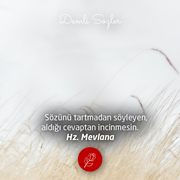 Sözünü tartmadan söyleyen, aldığı cevaptan incinmesin.
