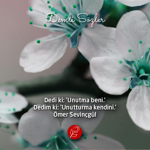 Dedi ki: 'Unutma beni.' Dedim ki: 'Unutturma kendini.'