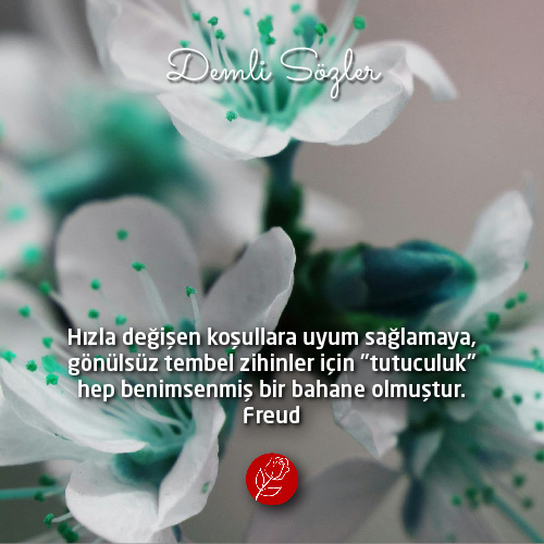 Hızla değişen koşullara uyum sağlamaya, gönülsüz tembel zihinler için "tutuculuk" hep benimsenmiş bir bahane olmuştur.