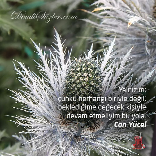 Yalnızım; çünkü herhangi biriyle değil, beklediğime değecek kişiyle devam etmeliyim bu yola.