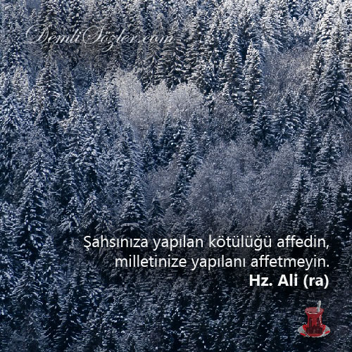 Şahsınıza yapılan kötülüğü affedin, milletinize yapılanı affetmeyin.