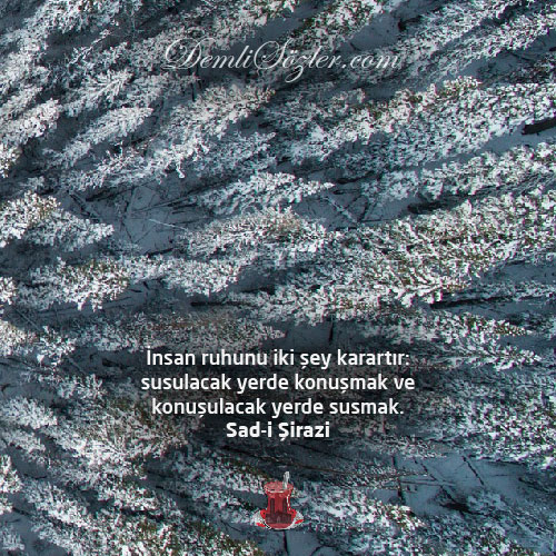 İnsan ruhunu iki şey karartır: susulacak yerde konuşmak ve konuşulacak yerde susmak.