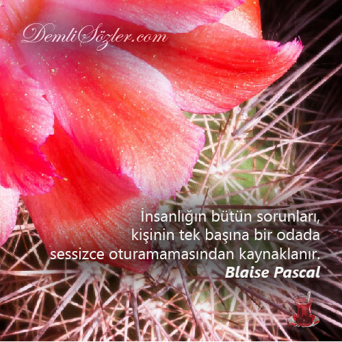 İnsanlığın bütün sorunları, kişinin tek başına bir odada sessizce oturamamasından kaynaklanır.