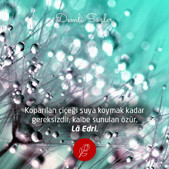 Koparılan çiçeği suya koymak kadar gereksizdir, kalbe sunulan özür.
