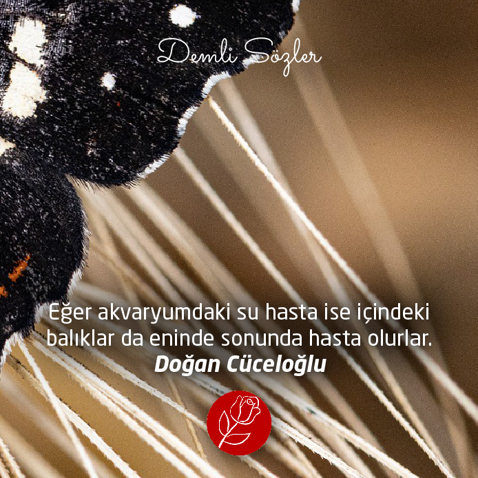 Eğer akvaryumdaki su hasta ise içindeki balıklar da eninde sonunda hasta olurlar.