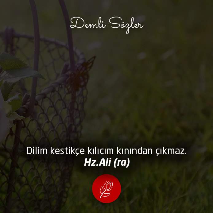 Dilim kestikçe kılıcım kınından çıkmaz.