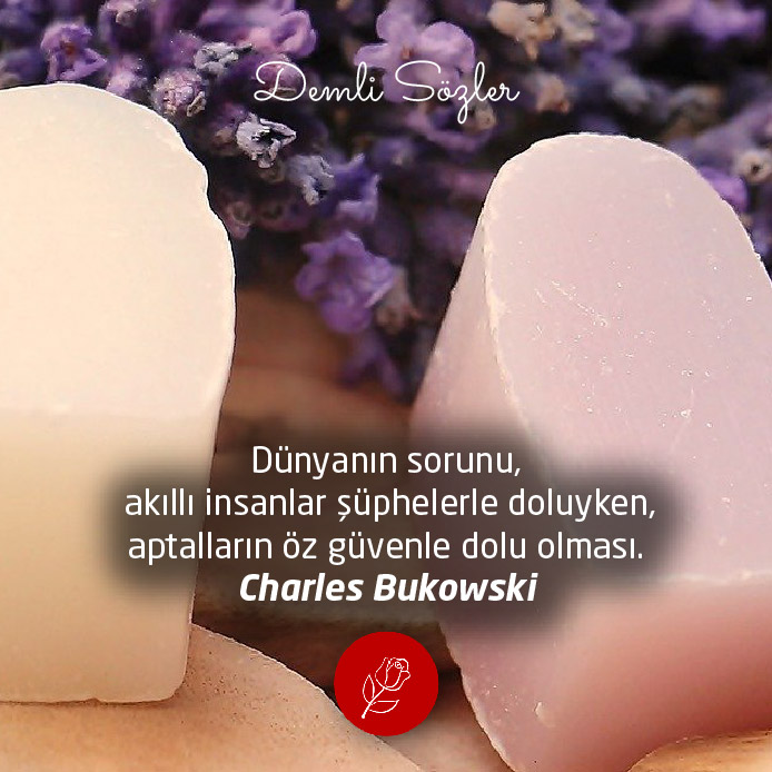 Dünyanın sorunu, akıllı insanlar şüphelerle doluyken, aptalların öz güvenle dolu olması.
