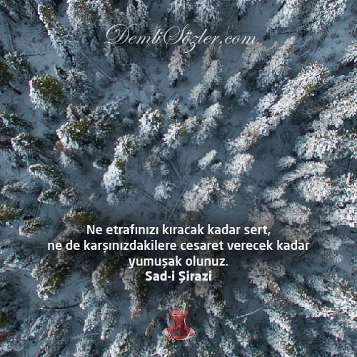 Ne etrafınızı kıracak kadar sert, ne de karşınızdakilere cesaret verecek kadar yumuşak olunuz.