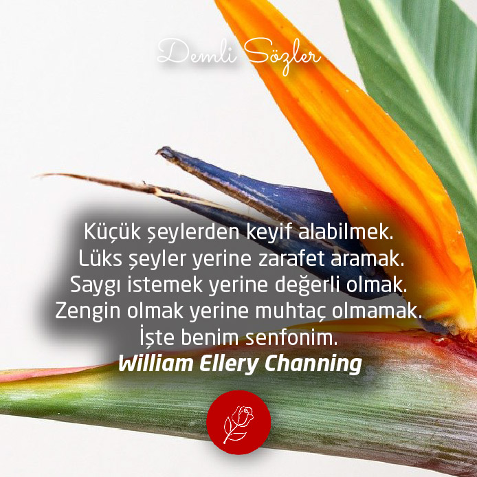 Küçük şeylerden keyif alabilmek. Lüks şeyler yerine zarafet aramak. Saygı istemek yerine değerli olmak. Zengin olmak yerine muhtaç olmamak. İşte benim senfonim.