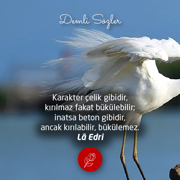 Karakter çelik gibidir, kırılmaz fakat bükülebilir; inatsa beton gibidir, ancak kırılabilir, bükülemez.