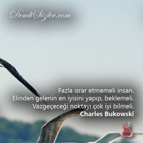 Fazla ısrar etmemeli insan. Elinden gelenin en iyisini yapıp, beklemeli. Vazgeçeceği noktayı çok iyi bilmeli.