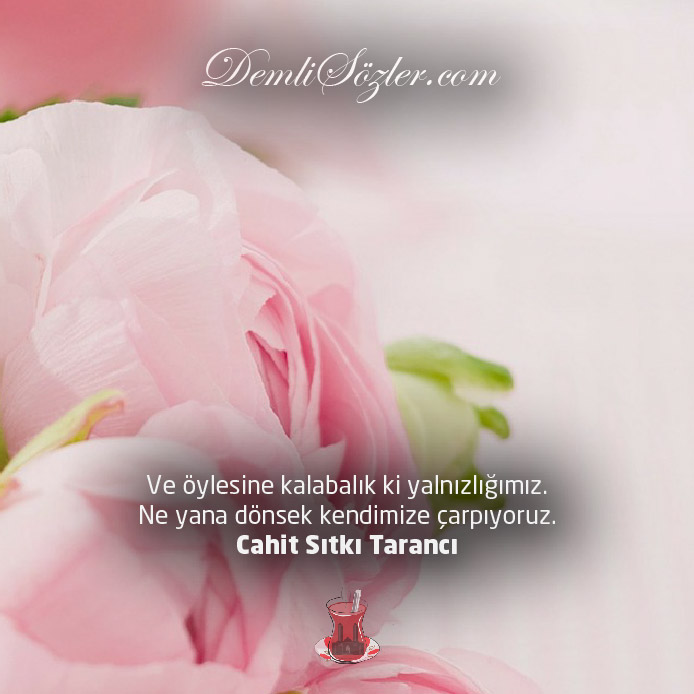 Ve öylesine kalabalık ki yalnızlığımız. Ne yana dönsek kendimize çarpıyoruz.