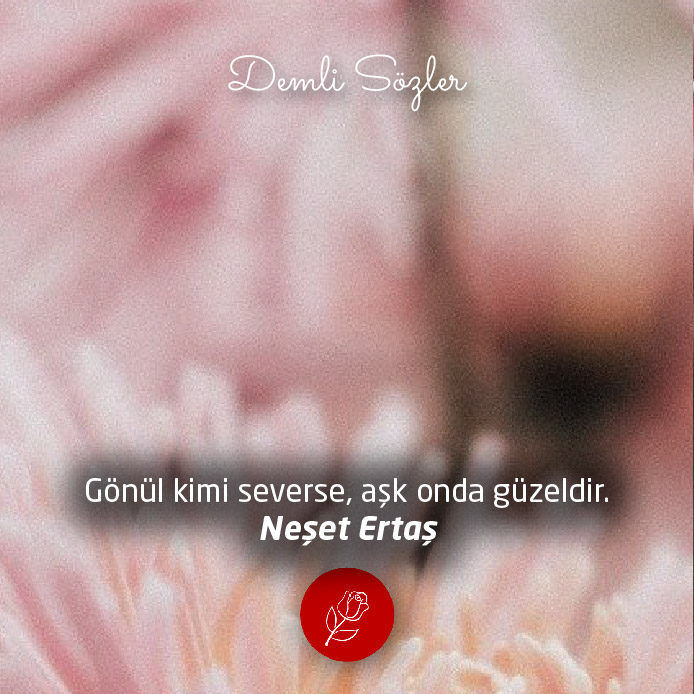 Gönül kimi severse, aşk onda güzeldir.