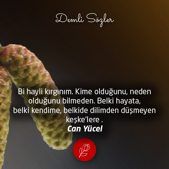 Bi hayli kırgınım. Kime olduğunu, neden olduğunu bilmeden. Belki hayata, belki kendime, belkide dilimden düşmeyen keşke'lere .