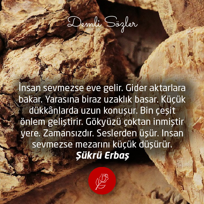 İnsan sevmezse eve gelir. Gider aktarlara bakar. Yarasına biraz uzaklık basar. Küçük dükkânlarda uzun konuşur. Bin çeşit önlem geliştirir. Gökyüzü çoktan inmiştir yere. Zamansızdır. Seslerden üşür. Insan sevmezse mezarını küçük düşürür.