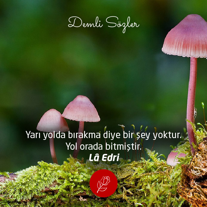 Yarı yolda bırakma diye bir şey yoktur. Yol orada bitmiştir.