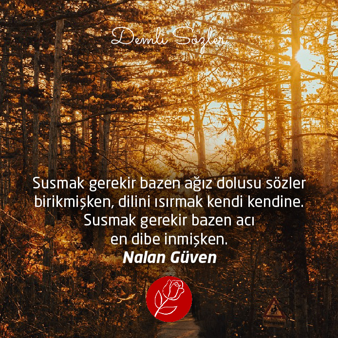 Susmak gerekir bazen ağız dolusu sözler birikmişken, dilini ısırmak kendi kendine. Susmak gerekir bazen acı en dibe inmişken.