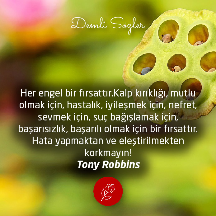Her engel bir fırsattır.Kalp kırıklığı, mutlu olmak için, hastalık, iyileşmek için, nefret, sevmek için, suç bağışlamak için, başarısızlık, başarılı olmak için bir fırsattır. Hata yapmaktan ve eleştirilmekten korkmayın!