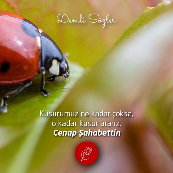 Kusurumuz ne kadar çoksa, o kadar kusur ararız.