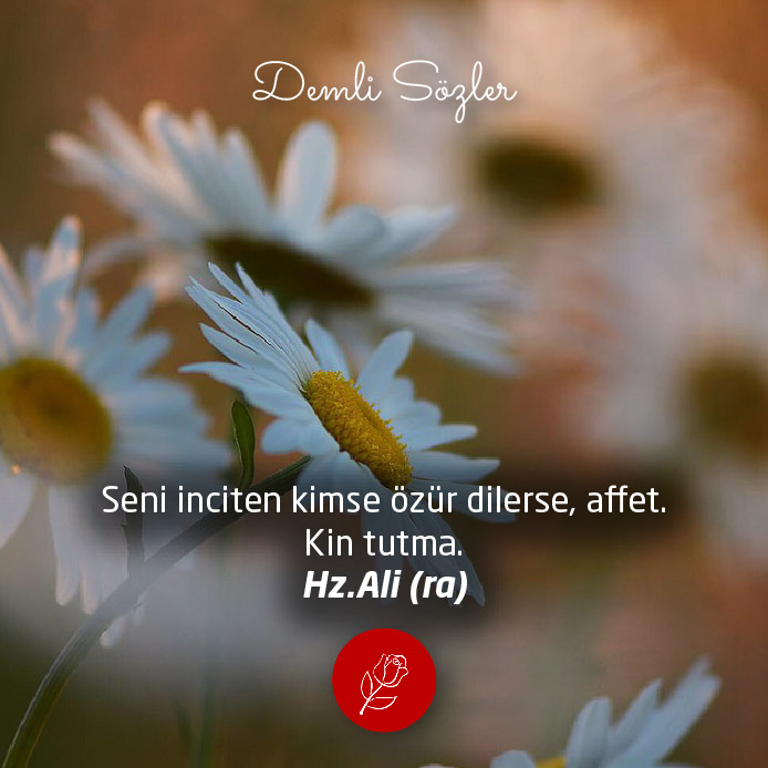 Seni inciten kimse özür dilerse, affet. Kin tutma.