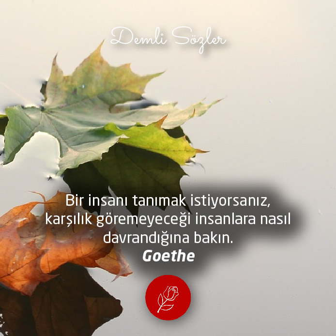 Bir insanı tanımak istiyorsanız, karşılık göremeyeceği insanlara nasıl davrandığına bakın.
